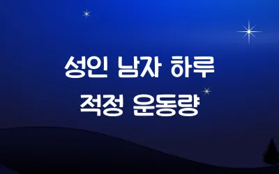 성인 남자 하루 적정 운동량