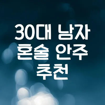 30대 남자 혼술 안주 추천