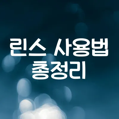 린스 사용법 총정리