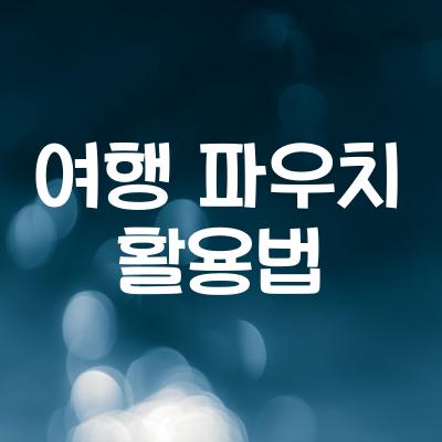 여행 파우치 활용법