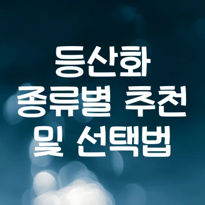 등산화 종류 추천