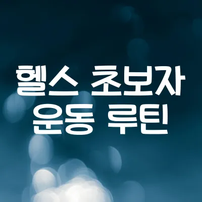 헬스 초보자 운동 루틴