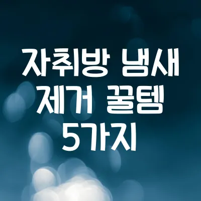 자취방 냄새 없애는 생활 꿀템 5가지 1 자취방 냄새 없애는 생활 꿀템 5가지