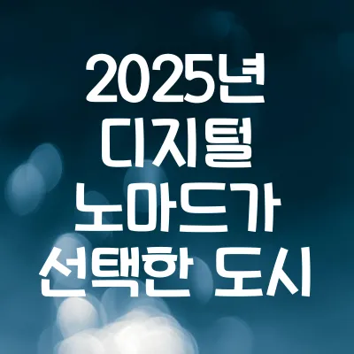 2025년 디지털 노마드가 선택한 도시 TOP10 | 디지털노마드 도시 추천