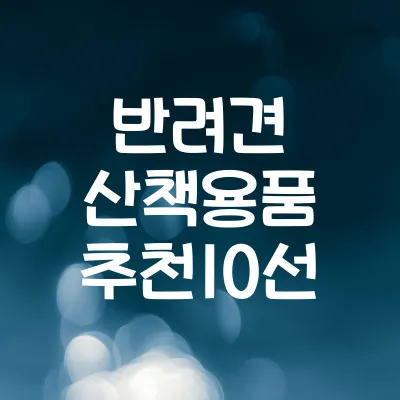 반려견 산책 용품 추천 10선 | 강아지 산책 필수 아이템 모음 1 반려견 산책 용품 추천 10선 | 강아지 산책 필수 아이템 모음