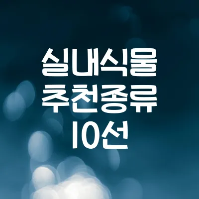 실내 식물 키우기 쉬운 종류 10선 | 초보자도 잘 키우는 반려식물 1 실내 식물 키우기 쉬운 종류 10선 | 초보자도 잘 키우는 반려식물