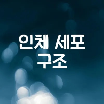 인체 세포의 구조와 기능 | 세포핵·미토콘드리아 이해