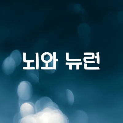 뇌의 뉴런과 신경 전달 | 시냅스와 전기 신호