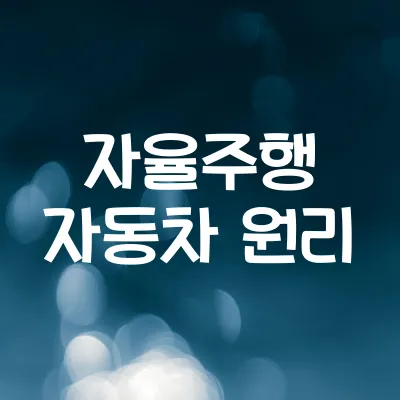 자율주행 자동차의 과학 | 센서·알고리즘의 역할