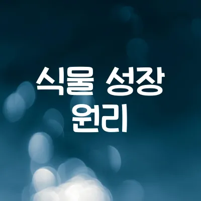 식물은 어떻게 자랄까 | 광합성과 성장 호르몬의 역할 1 식물은 어떻게 자랄까 | 광합성과 성장 호르몬의 역할