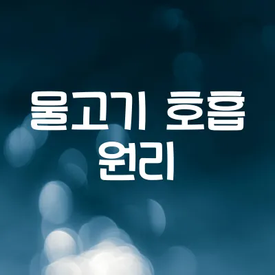 물고기는 어떻게 숨쉴까 | 아가미와 산소 교환 구조