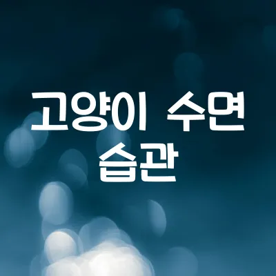 고양이는 왜 낮에 잠을 많이 잘까 | 야행성 동물의 습성