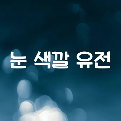 눈은 왜 파란 사람도 있고 갈색 사람도 있을까 | 멜라닌과 유전의 관계