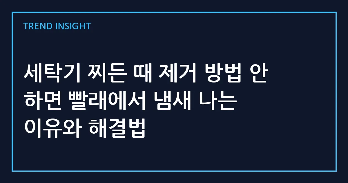 세탁기 찌든 때 제거 방법 안 하면 빨래에서 냄새 나는 이유와 해결법