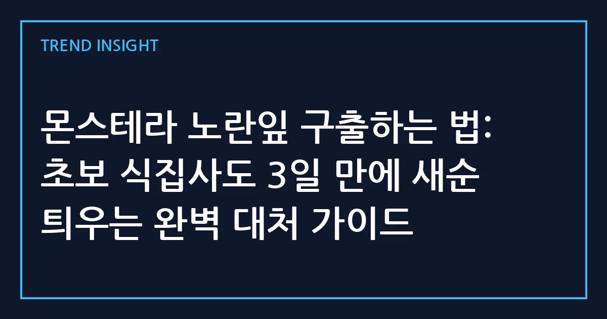몬스테라 노란잎 구출하는 법: 초보 식집사도 3일 만에 새순 틔우는 완벽 대처 가이드