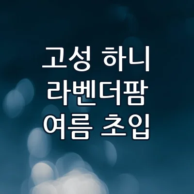 고성 하니라벤더팜 여름 초입 보랏빛 향기로 물드는 라벤더 축제 가이드