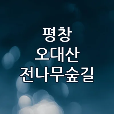 평창 오대산 전나무숲길 주말 1박2일 힐링 코스 숙소부터 맛집까지 총정리