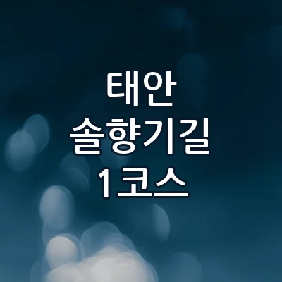 태안 솔향기길 1코스 서해 바다 따라 걷는 한적한 해안 산책로 추천
