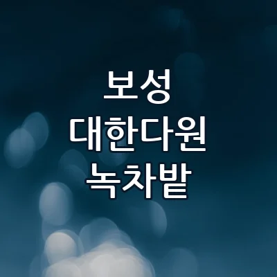 보성 대한다원 녹차밭 1박2일 힐링 여행 코스 초록빛 다원 전망대와 감성 숙소 추천